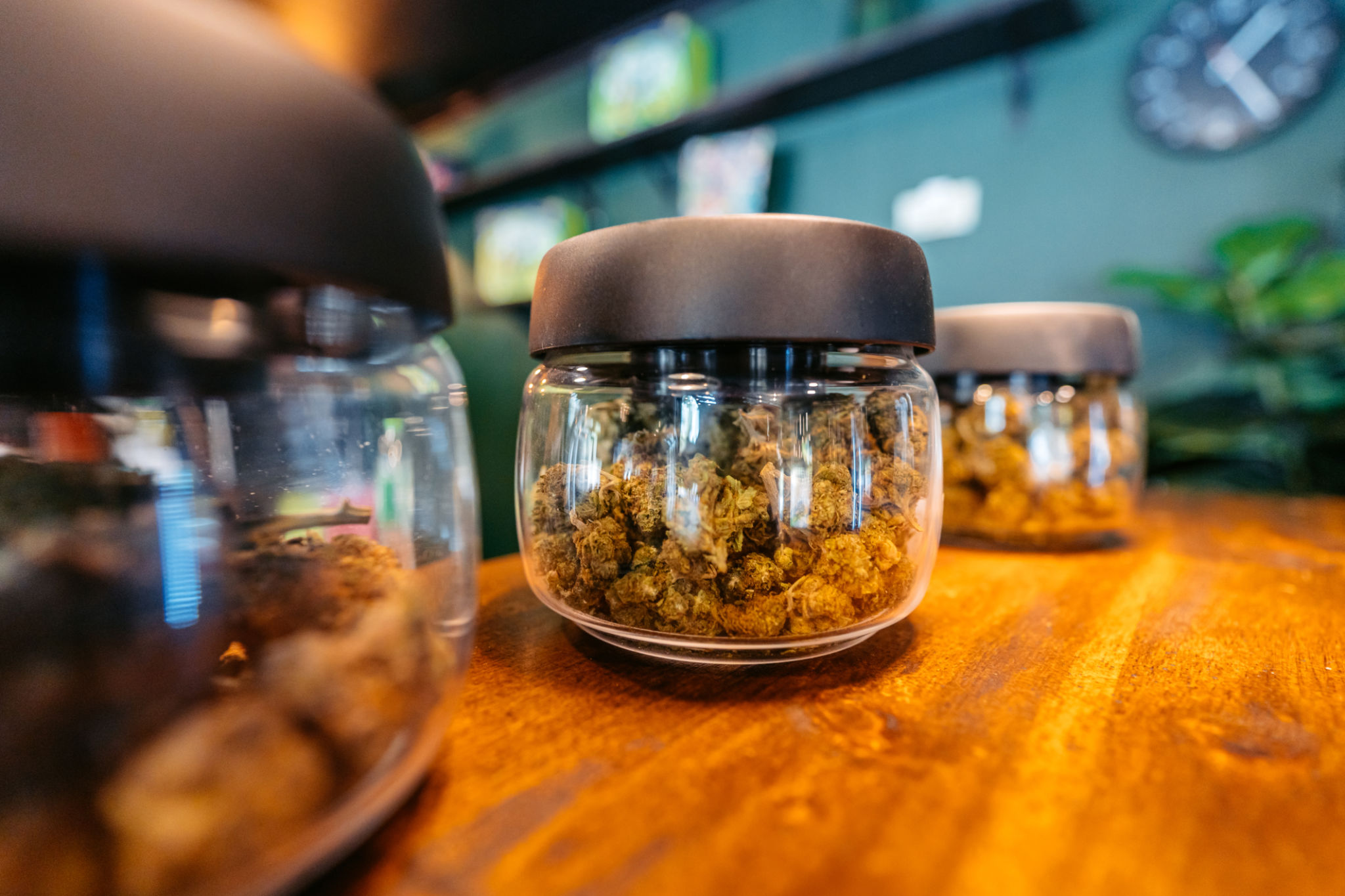 Herbal cannabis (marijuana) in a jar in a cannabis shop in Thailand.